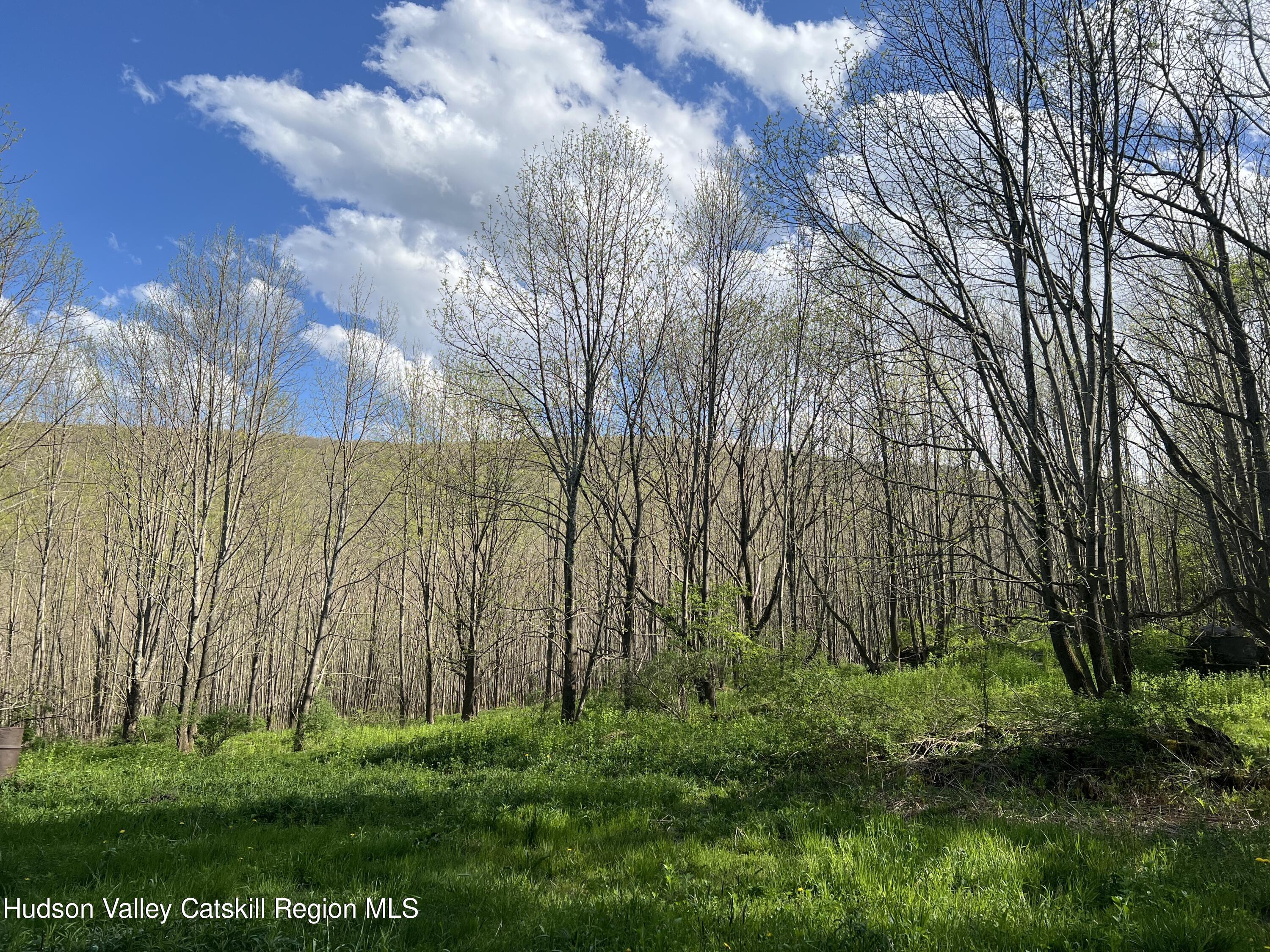 164 Ray Cottone Road Roxbury, NY 12474 - Photo 9 of 37 IMG_4474