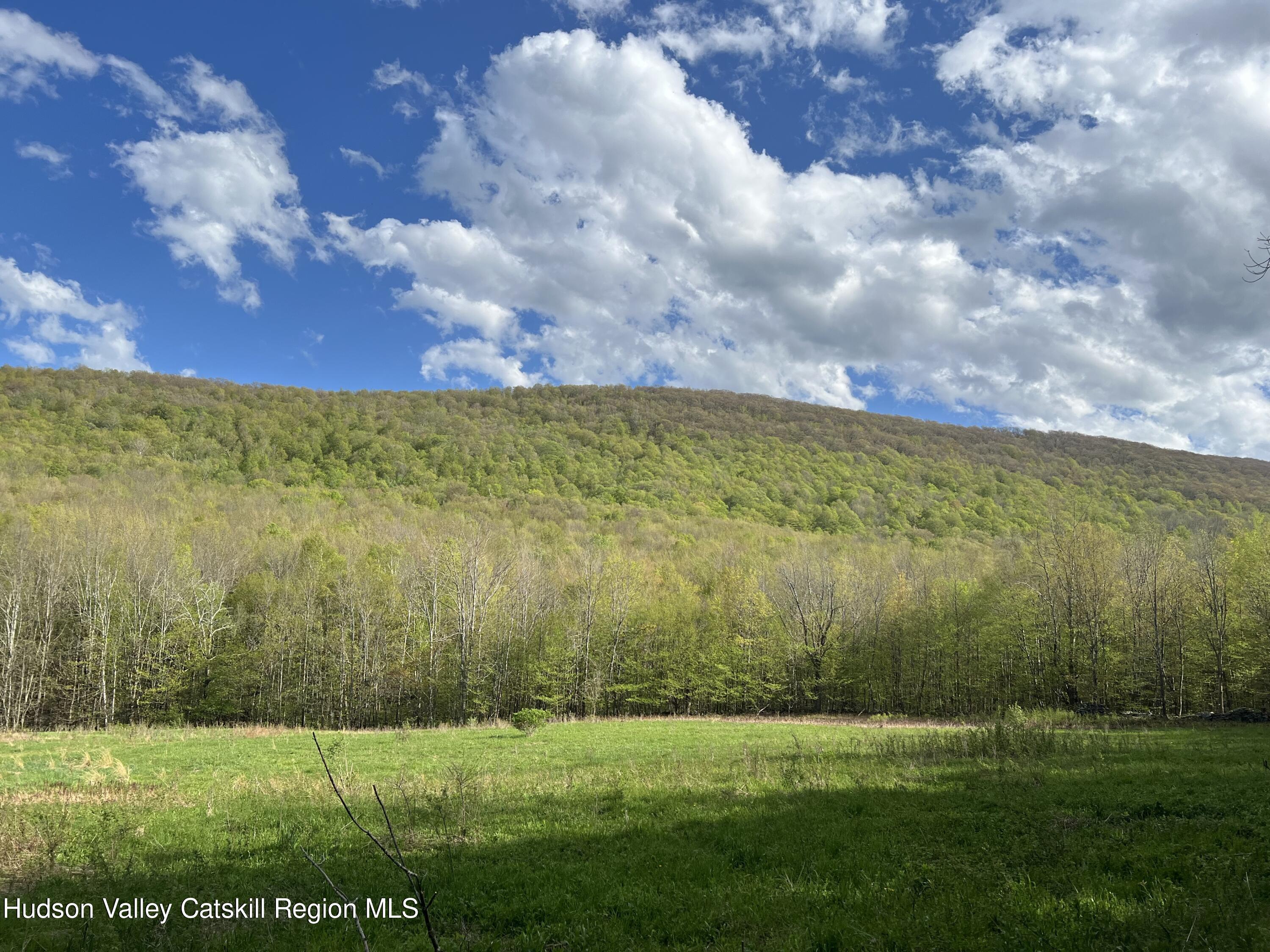 164 Ray Cottone Road Roxbury, NY 12474 - Photo 10 of 37 IMG_4478