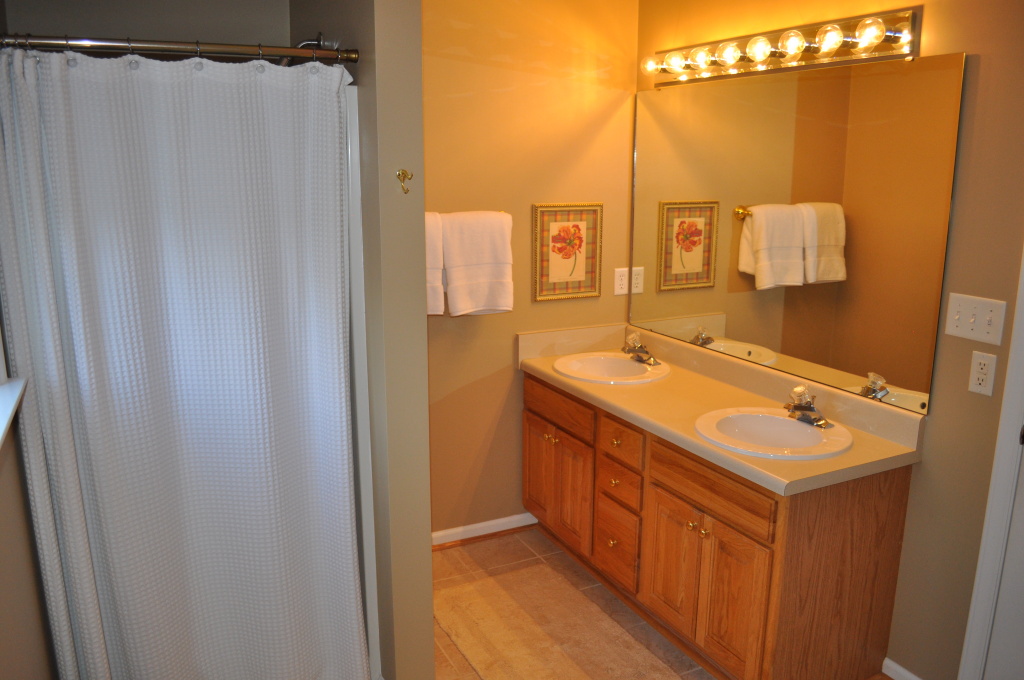 307 Eagle Ridge Roanoke, VA 24012 - Photo 14 of 27 Master bath