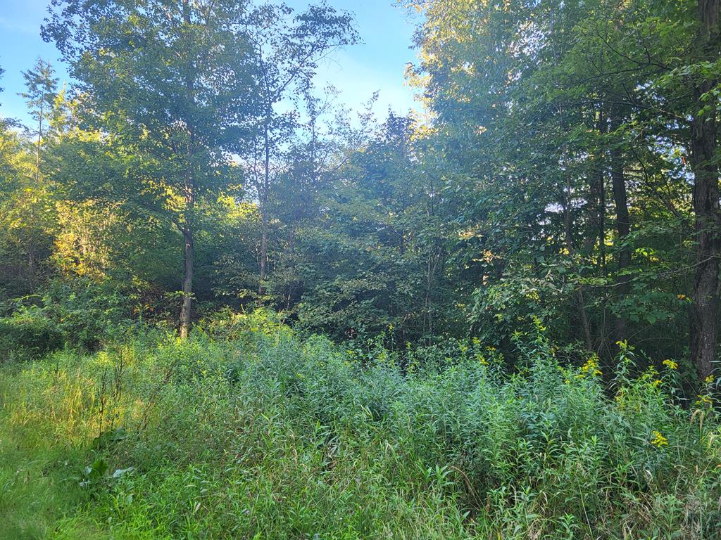 0 Porter Mill Road Knox, PA 16232 - Photo 2 of 5