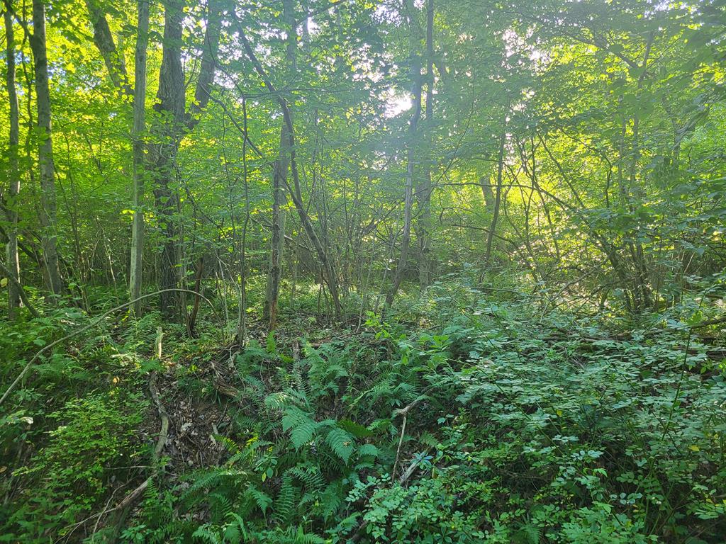 0 Porter Mill Road Knox, PA 16232 - Photo 3 of 5