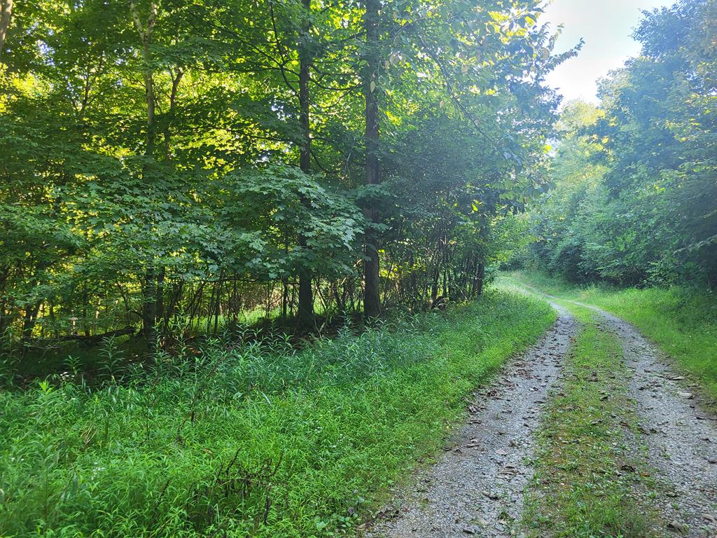 0 Porter Mill Road Knox, PA 16232 - Photo 4 of 5