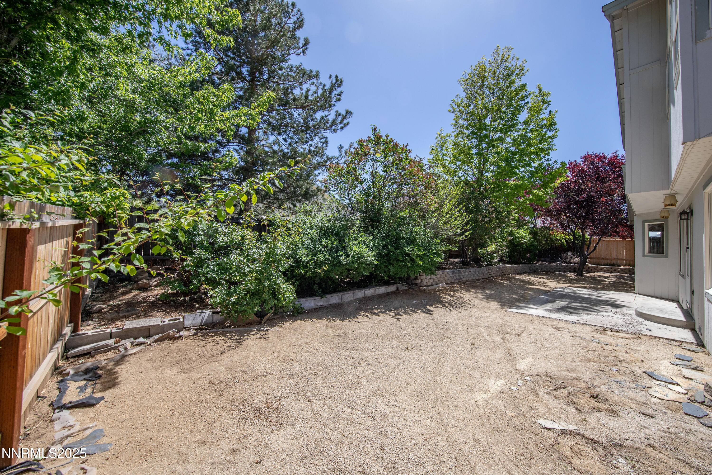1850 Tess Way Reno, NV 89511 - Photo 44 of 50 a view of a yard with plants and trees