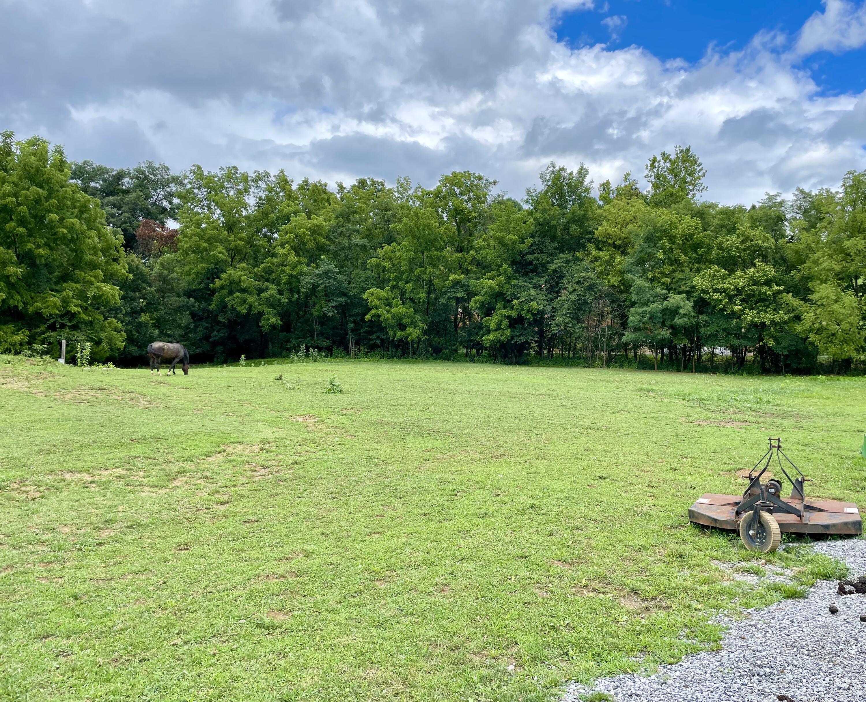 Lot 4 Huff Road Troutville, VA 24175 - Photo 2 of 12 39834B4C-4A7A-4800-8752-A4367B73034E_1_2