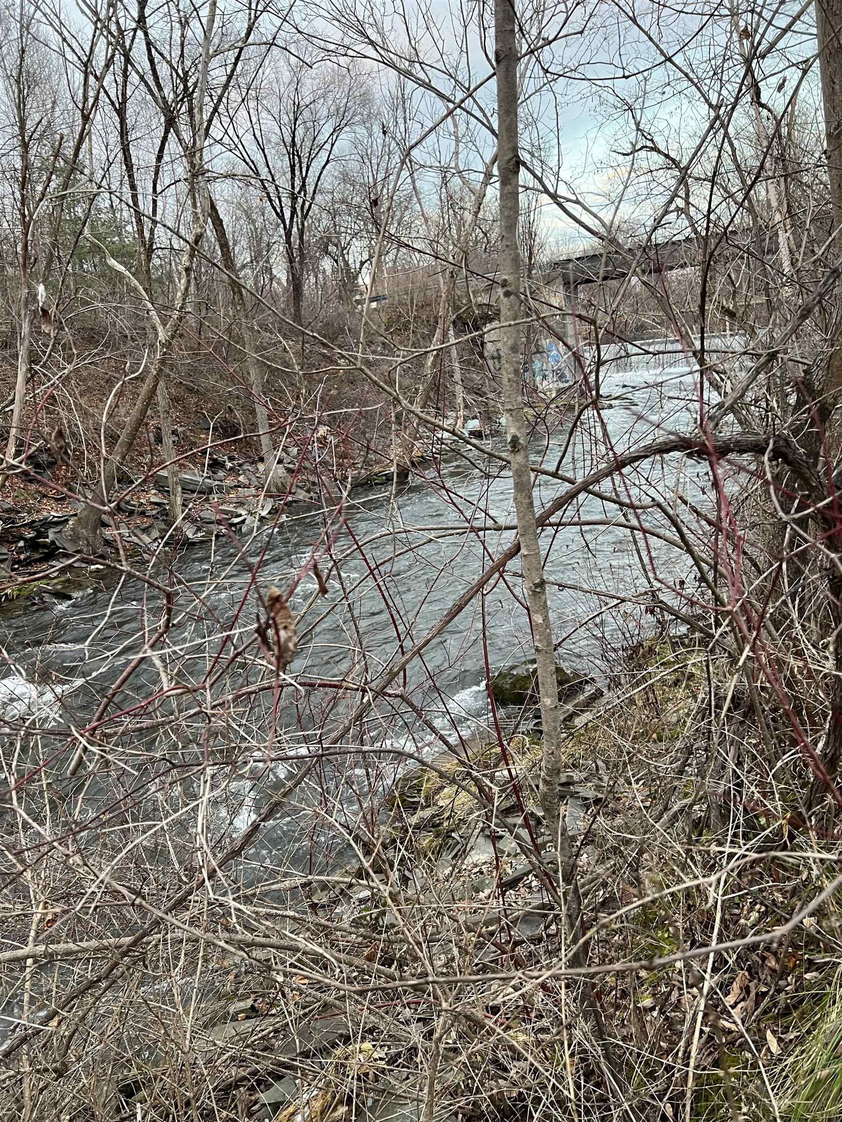 0 Adams & Prospect Street Fair Haven, VT 05743 - Photo 3 of 6