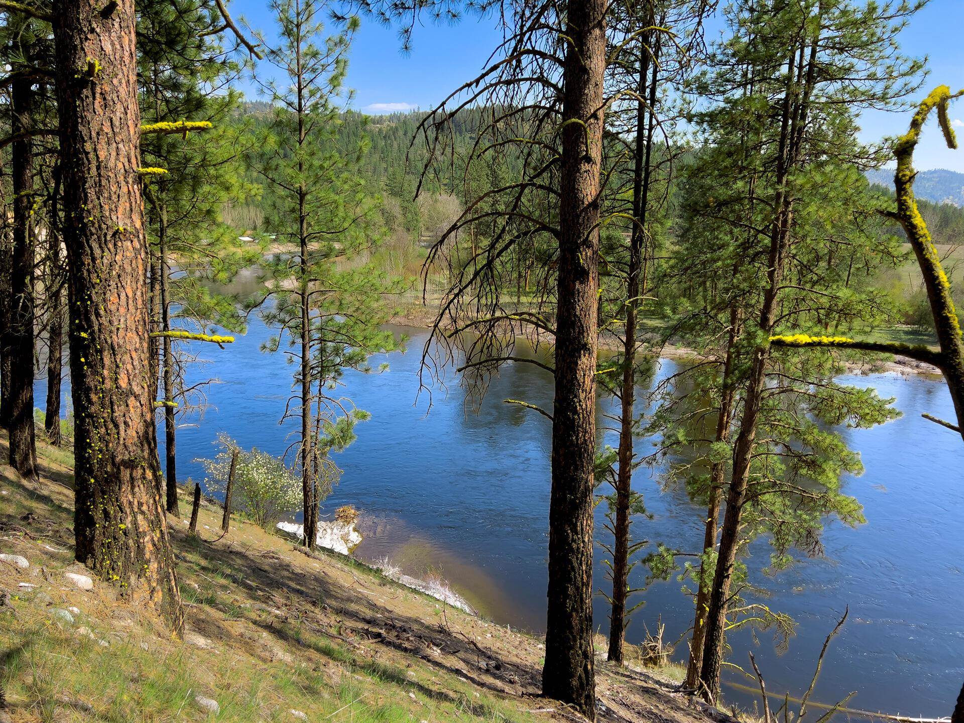 20 River Ranch Road Kettle Falls, WA 99141 - Photo 10 of 50 Gallery Image 10