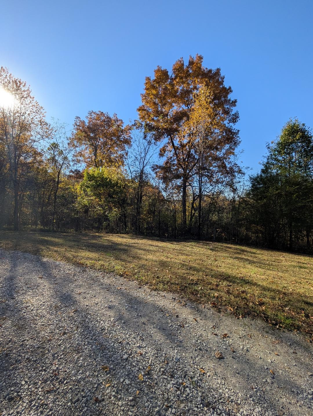 11774 Hopkinsville Road Princeton, KY 42445 - Photo 24 of 25 a view of a yard