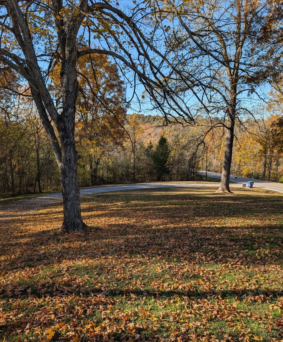 11774 Hopkinsville Road Princeton, KY 42445 - Photo 25 of 25