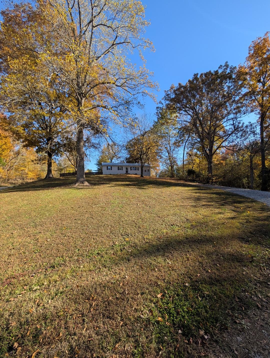 11774 Hopkinsville Road Princeton, KY 42445 - Photo 3 of 25 a view of beach with ocean view