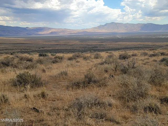 a view of an ocean beach