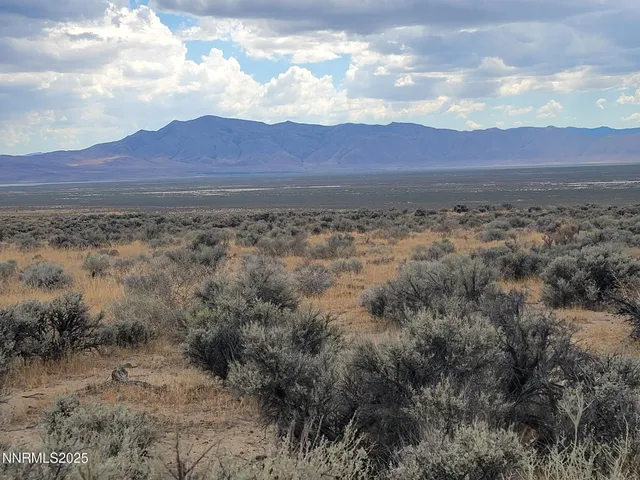 a view of a yard with mountain and a trees