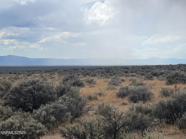 a view of a dry yard