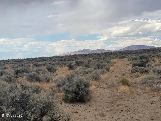 a view of a dry yard with mountains in the background