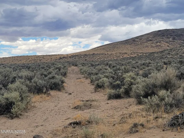 a view of a dry yard covered with snow