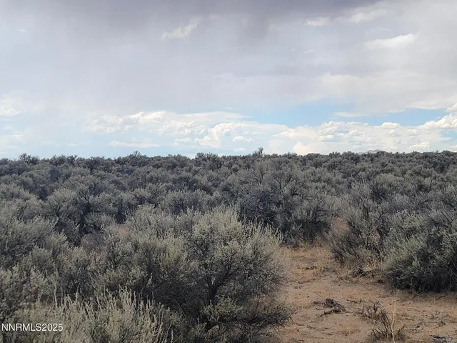 a view of a dry field