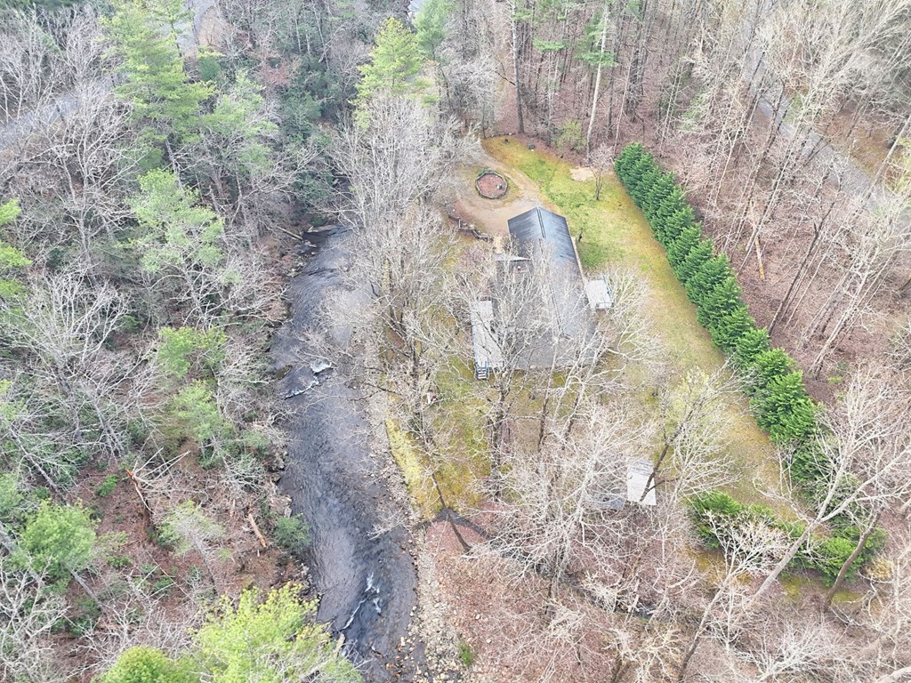 4790 Fires Creek Road Hayesville, NC 28904 - Photo 2 of 61 a view of a wooden wall with trees