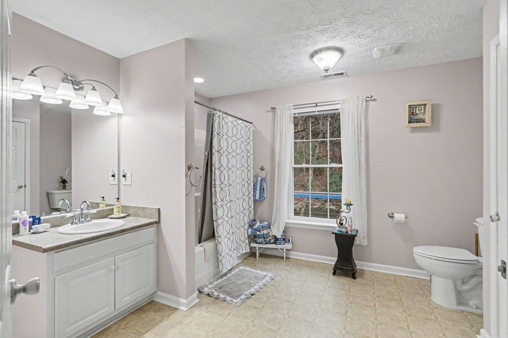 4790 Fires Creek Road Hayesville, NC 28904 - Photo 35 of 61 a bathroom with a double vanity sink toilet and shower