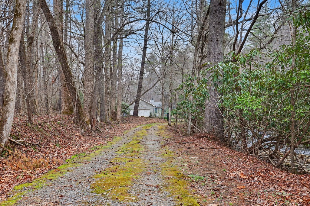 4790 Fires Creek Road Hayesville, NC 28904 - Photo 4 of 61 a view of a yard with trees