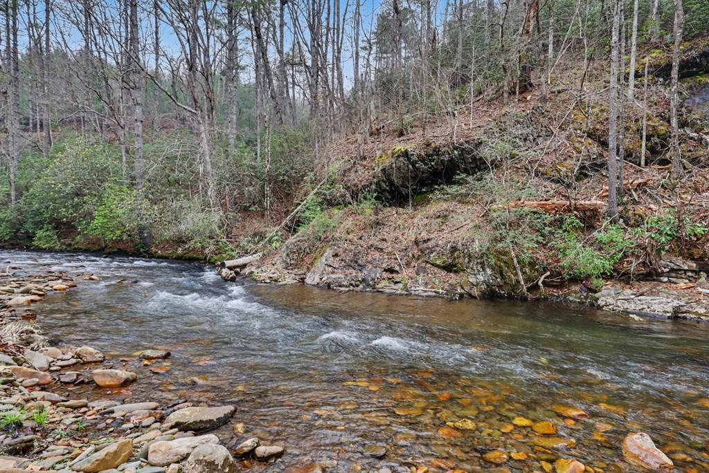 4790 Fires Creek Road Hayesville, NC 28904 - Photo 48 of 61 a view of a forest with trees