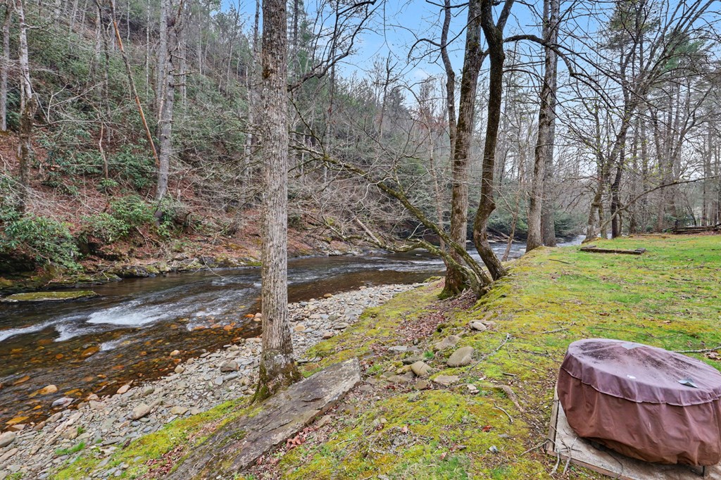 4790 Fires Creek Road Hayesville, NC 28904 - Photo 54 of 61 a view of an outdoor space and yard