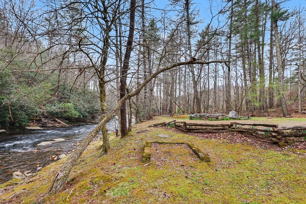 4790 Fires Creek Road Hayesville, NC 28904 - Photo 55 of 61 a view of swimming pool with trees