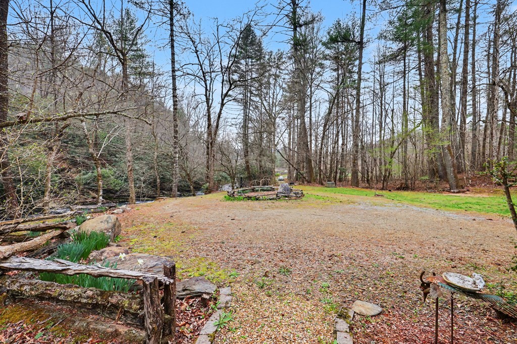 4790 Fires Creek Road Hayesville, NC 28904 - Photo 56 of 61 a view of a backyard with large trees