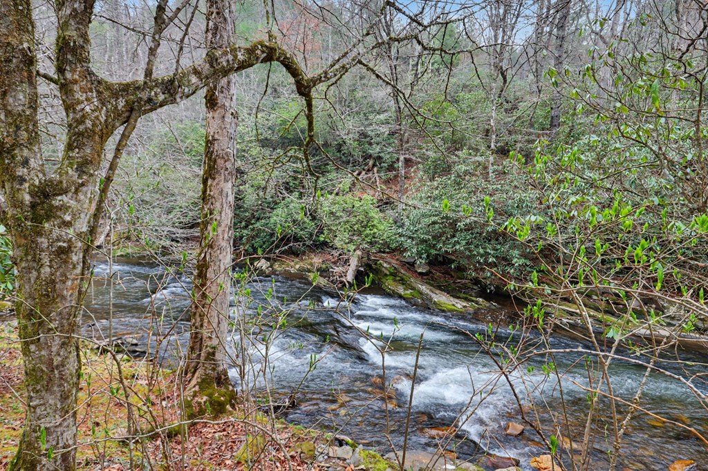 4790 Fires Creek Road Hayesville, NC 28904 - Photo 7 of 61 a view of a yard with a tree