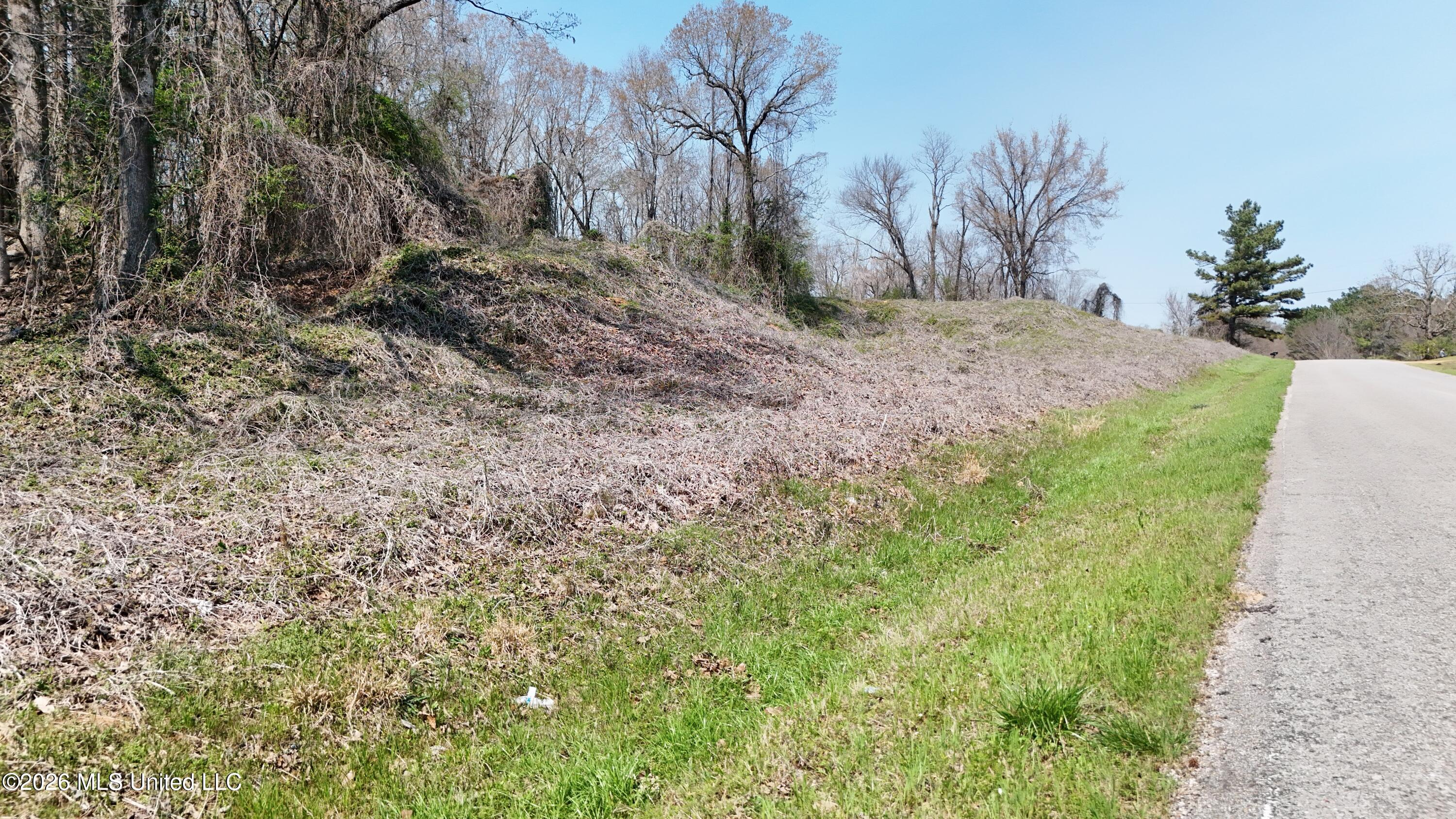 1200 Chulahoma Road Holly Springs, MS 38635 - Photo 33 of 46 DJI_20260321133840_0061_D