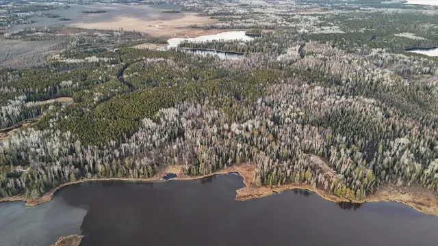 $219,000 | Tbd Tbd Arthur Lake, Babbitt, MN 55706