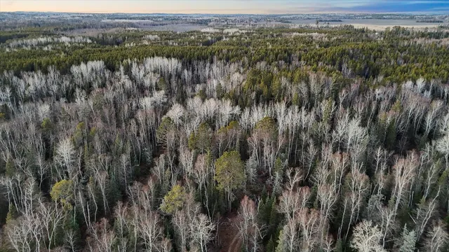 $219,000 | Tbd Tbd Arthur Lake, Babbitt, MN 55706