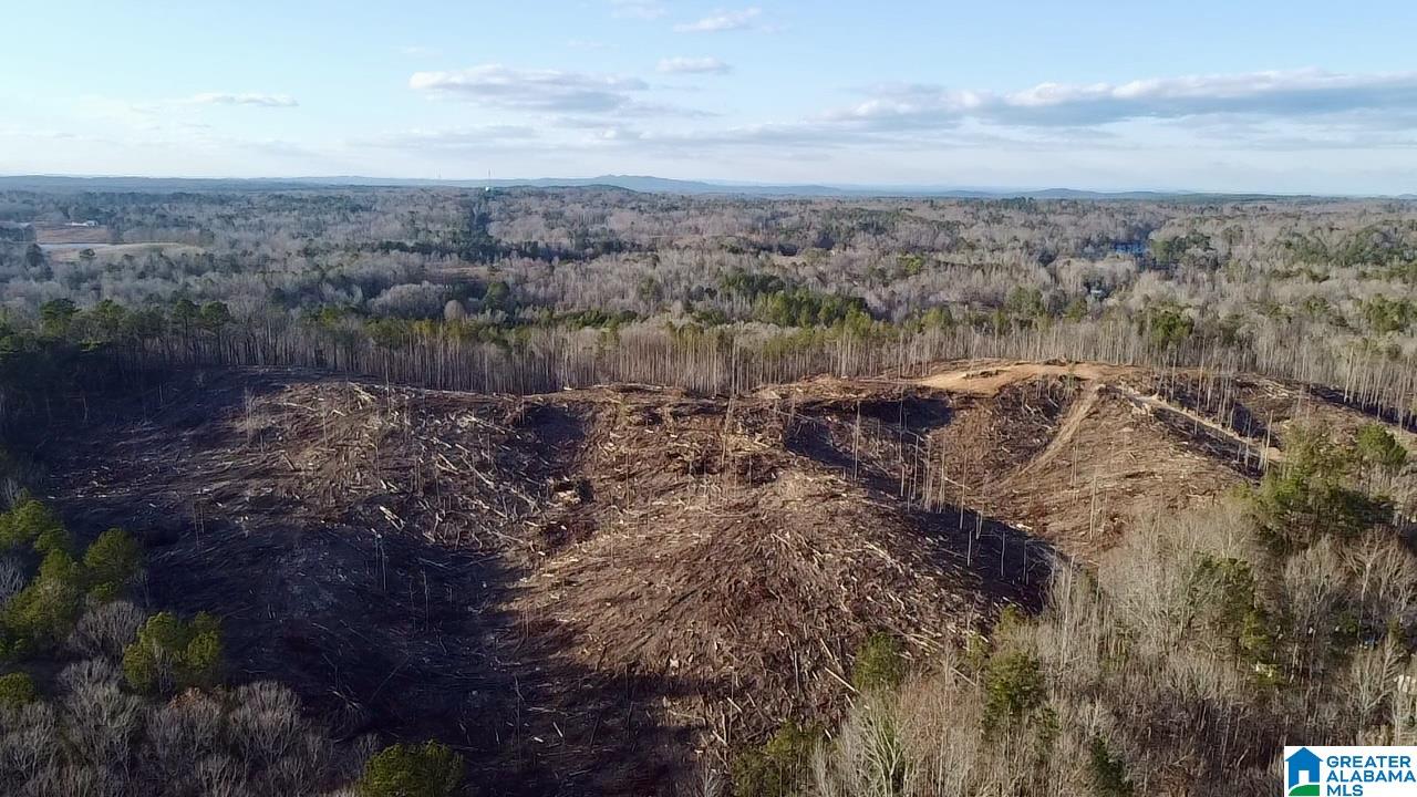 0 Old Rockhouse Road Sylacauga, AL 35150 - Photo 2 of 6