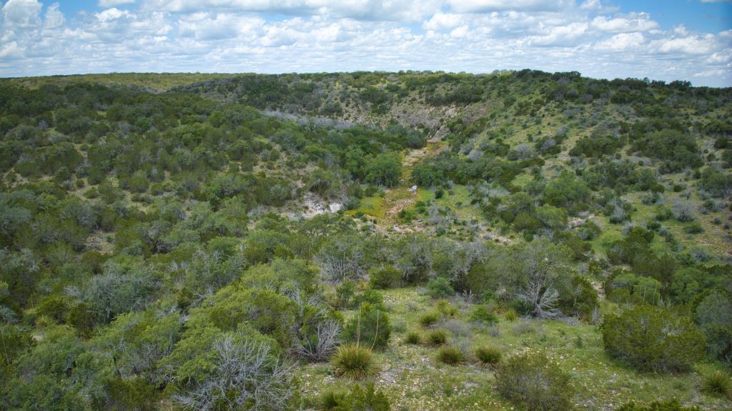 19316 Ranch To Market Road 1871 Mason, TX 76856 - Photo 43 of 62