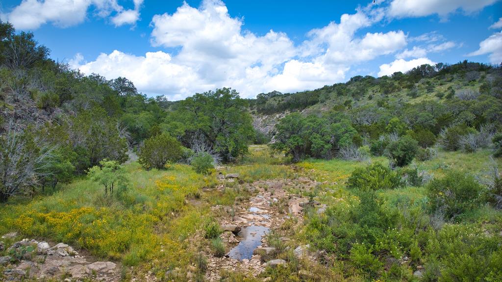 19316 Ranch To Market Road 1871 Mason, TX 76856 - Photo 45 of 62