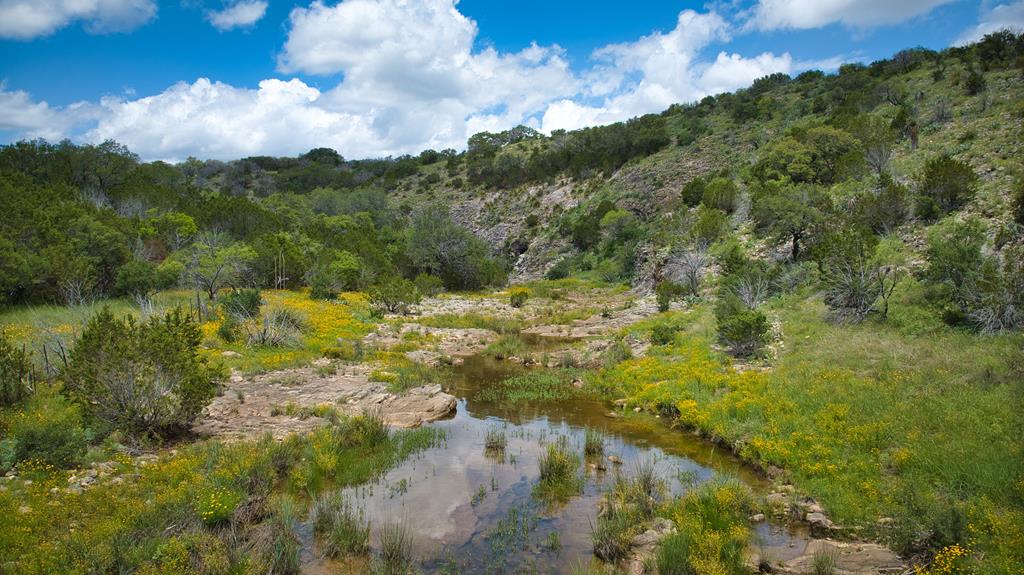 19316 Ranch To Market Road 1871 Mason, TX 76856 - Photo 46 of 62