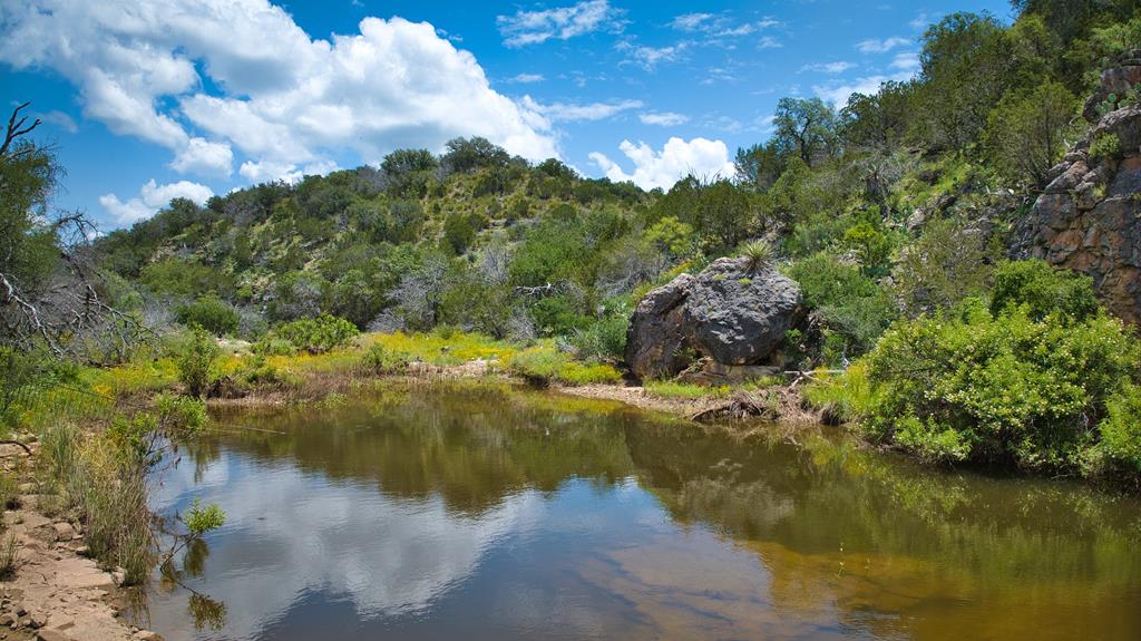 19316 Ranch To Market Road 1871 Mason, TX 76856 - Photo 51 of 62