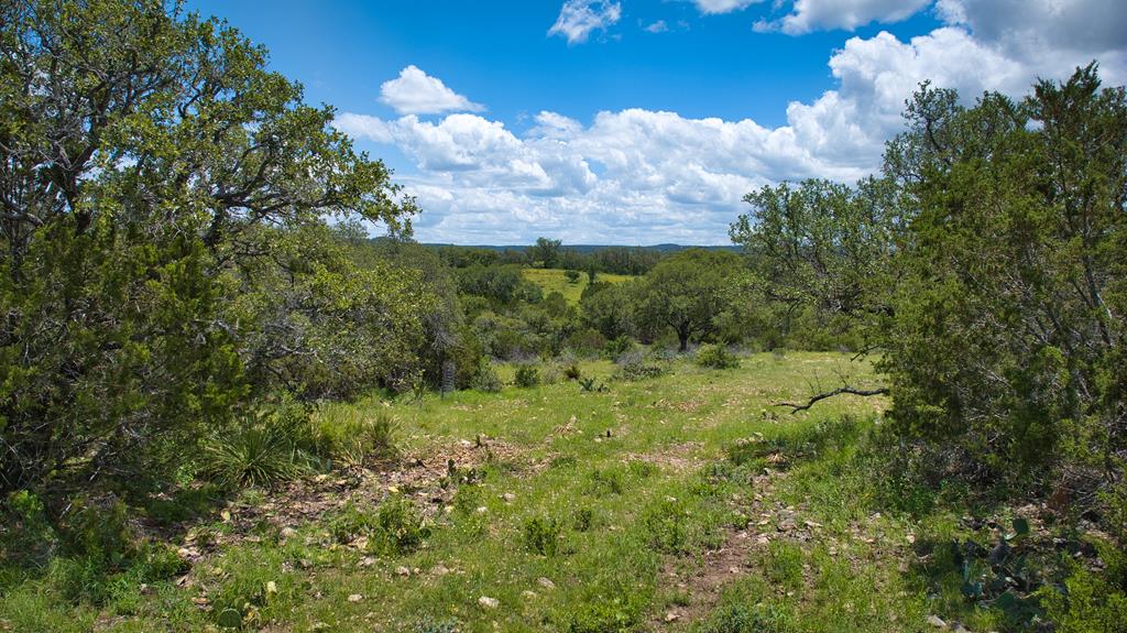 19316 Ranch To Market Road 1871 Mason, TX 76856 - Photo 55 of 62