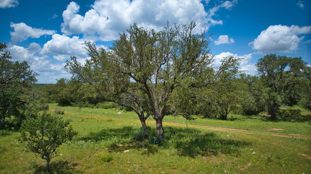 19316 Ranch To Market Road 1871 Mason, TX 76856 - Photo 58 of 62