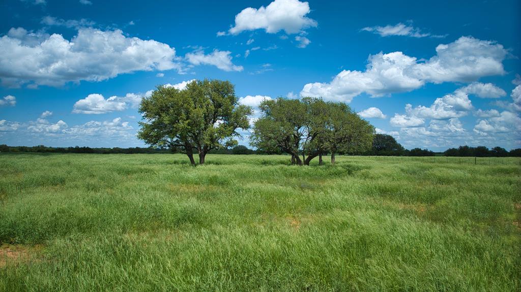 19316 Ranch To Market Road 1871 Mason, TX 76856 - Photo 60 of 62