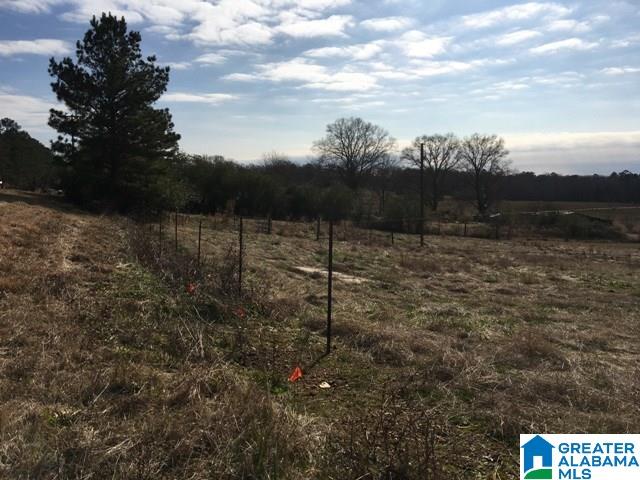 0 County Road 235, Unit 1 Alpine, AL 35014 - Photo 5 of 12
