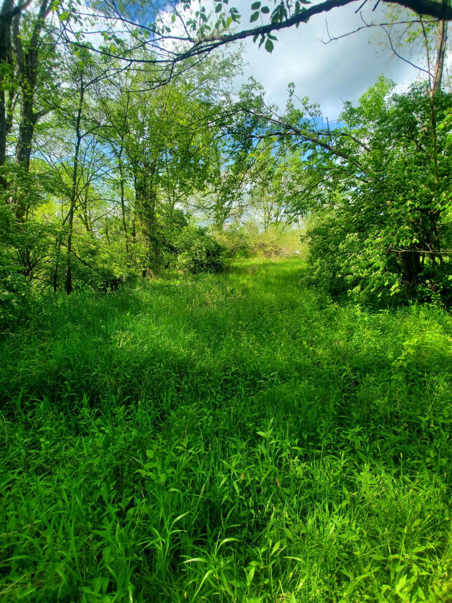 2693 Clintonville Road Paris, KY 40361 - Photo 24 of 47 20210505_171050