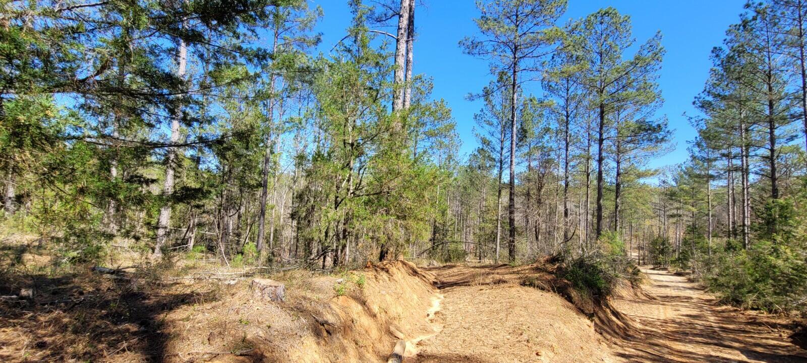 0 Sam Hodges Road Hodges, SC 29653 - Photo 7 of 10