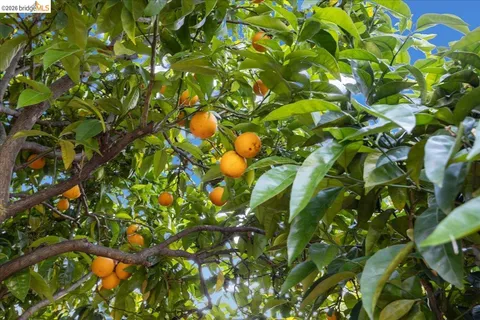 a picture of a book and a white wall