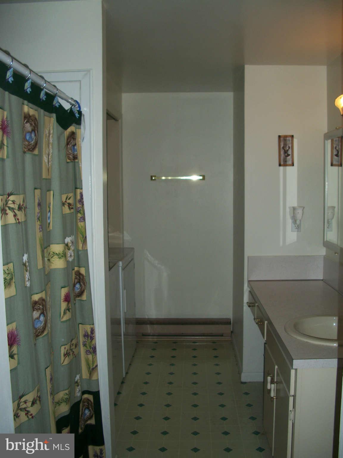 9030 Rabbit Road North Greencastle, PA 17225 - Photo 15 of 21 Bath (Master)