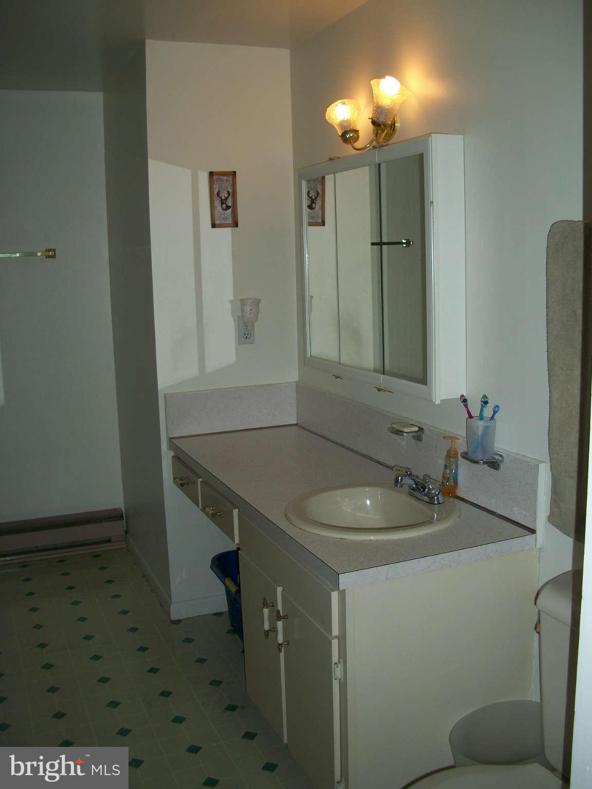 9030 Rabbit Road North Greencastle, PA 17225 - Photo 16 of 21 Bath (Master)