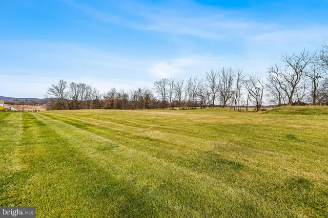 a view of a ocean with trees in the background