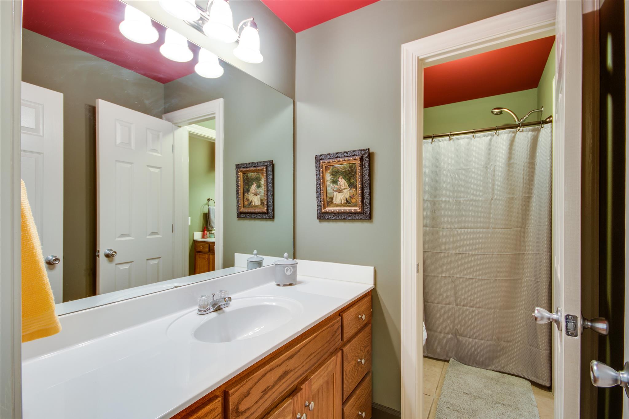 453 Savannah Ridge Murfreesboro, TN 37127 - Photo 26 of 29 Other side of the Jack and Jill bath