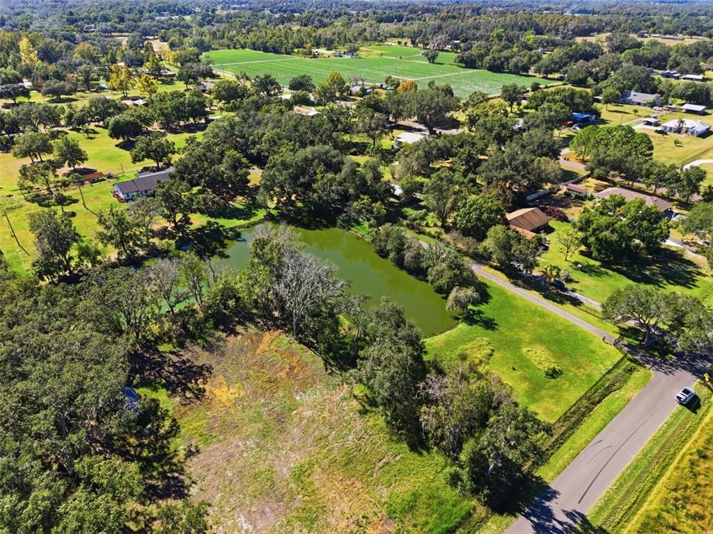 2506 Hawk Griffin Road Plant City, FL 33565 - Photo 47 of 54