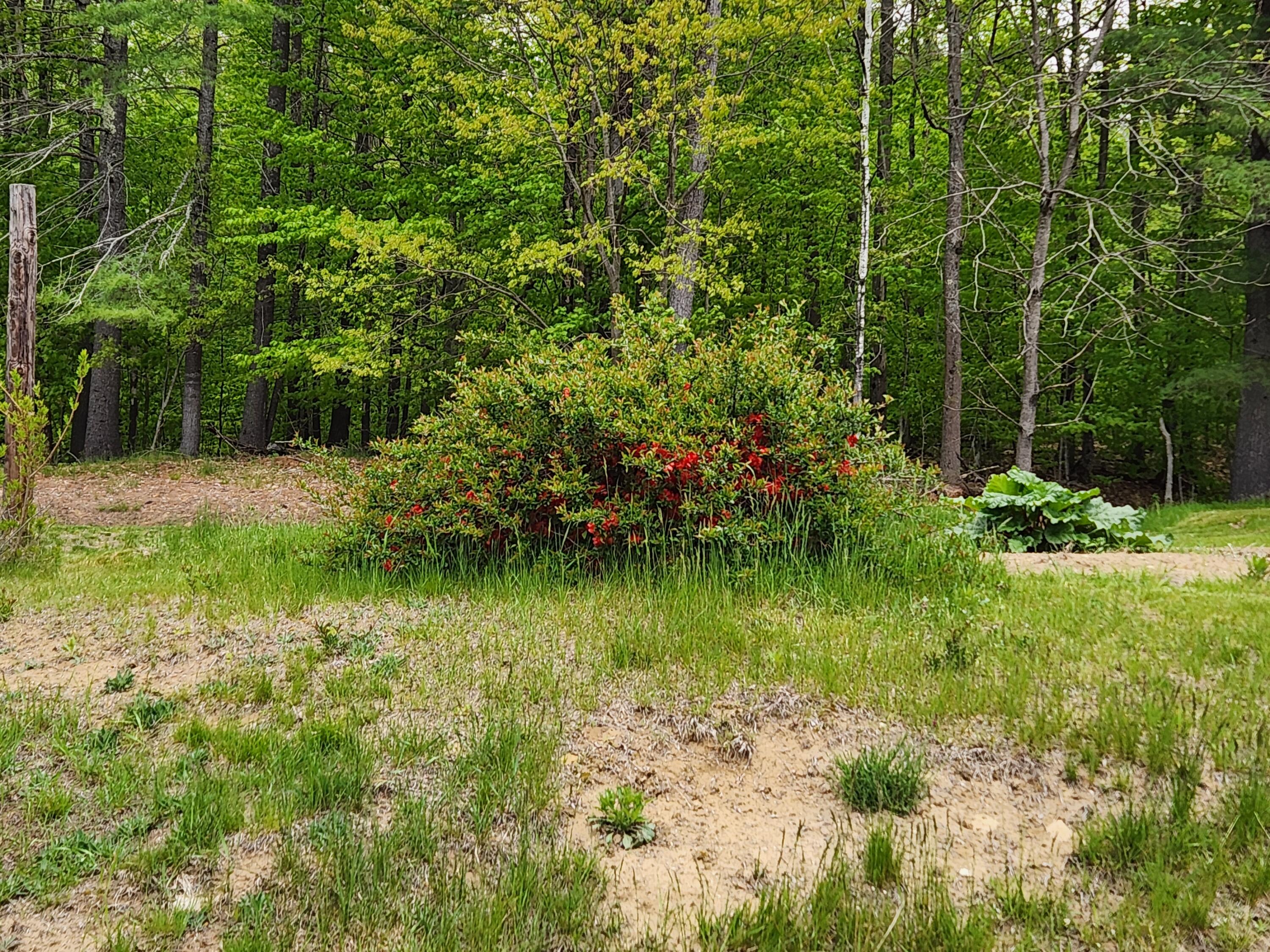 51 Wyman Hill Road Rumford, ME 04276 - Photo 14 of 75 20260524_122034