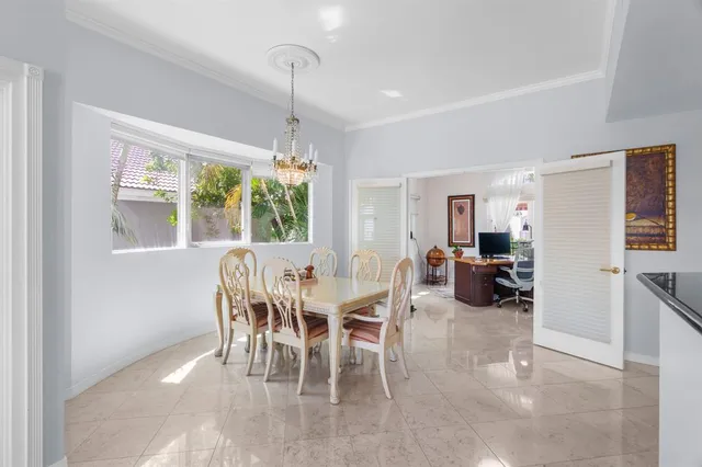 a living room with furniture a rug and a potted plant