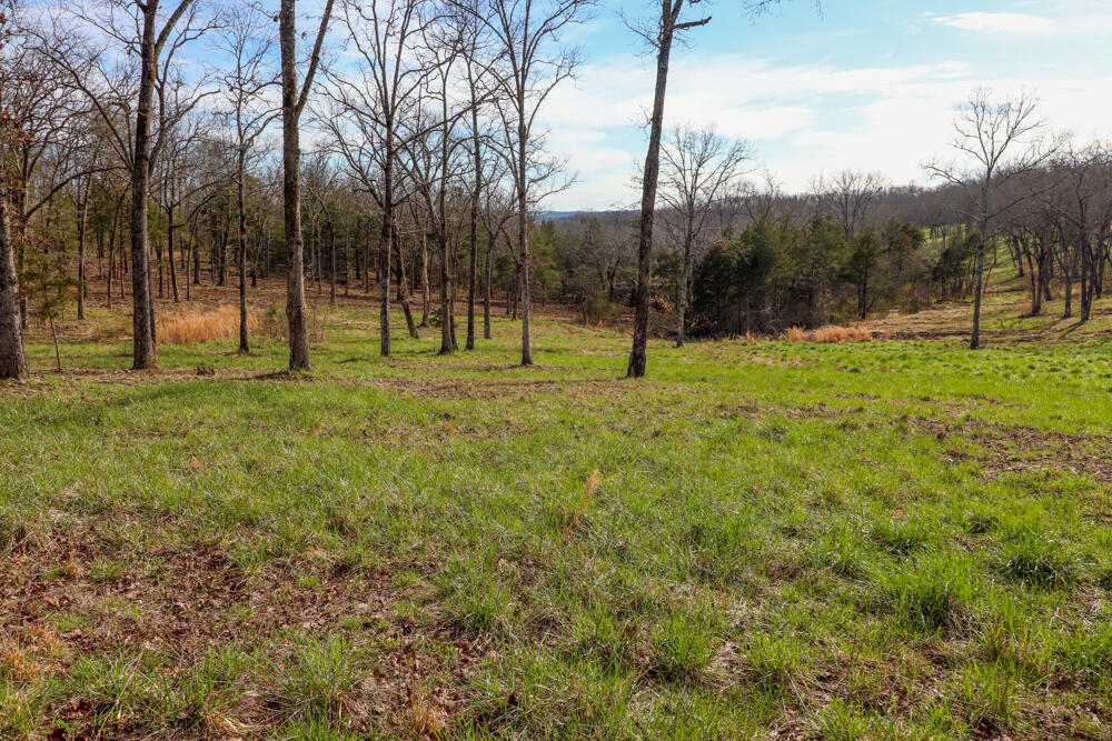 0 Barton Road Cedarcreek, MO 65627 - Photo 9 of 14 IMG_3443